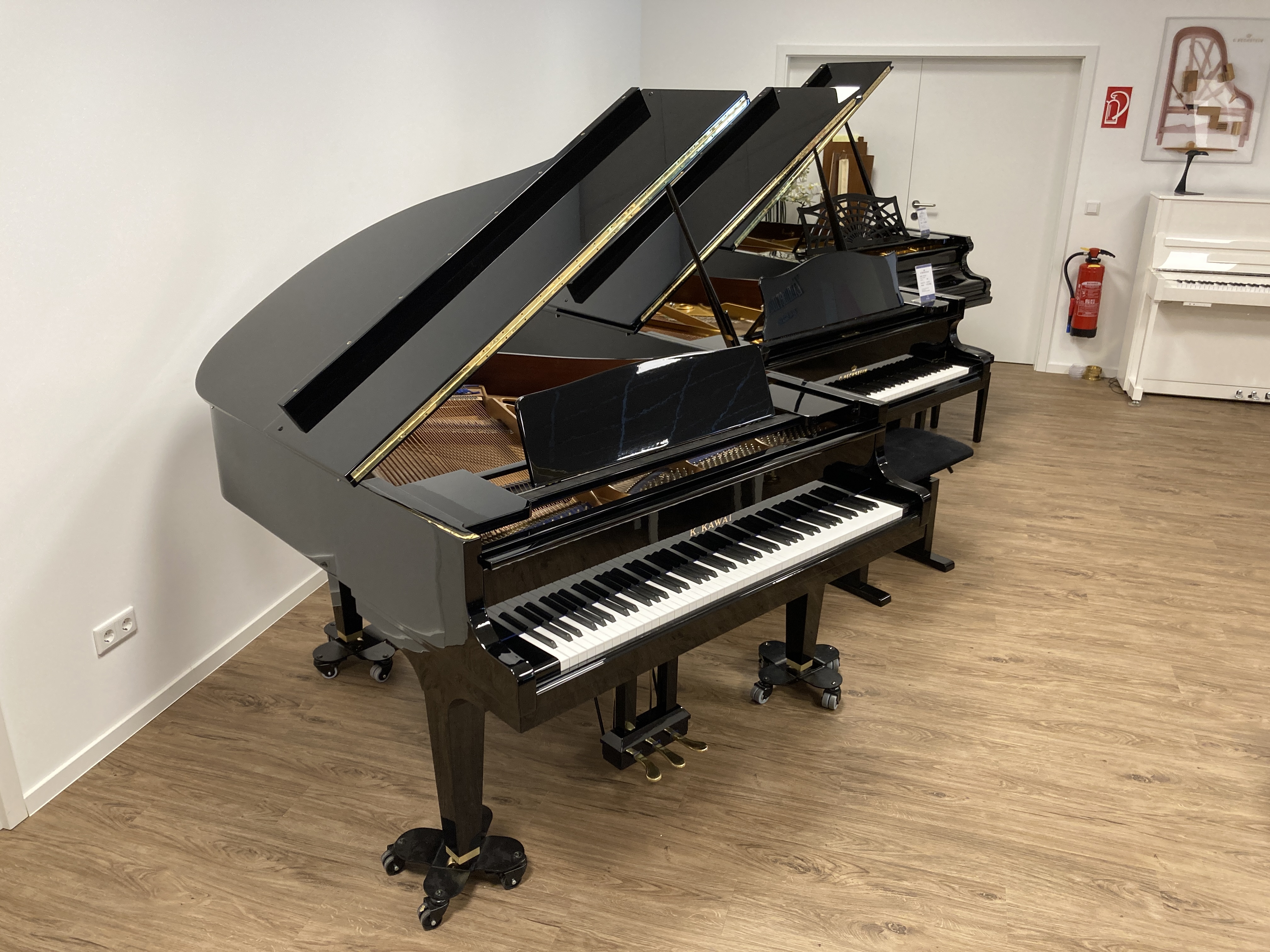Flügel KF-1 (164 cm)