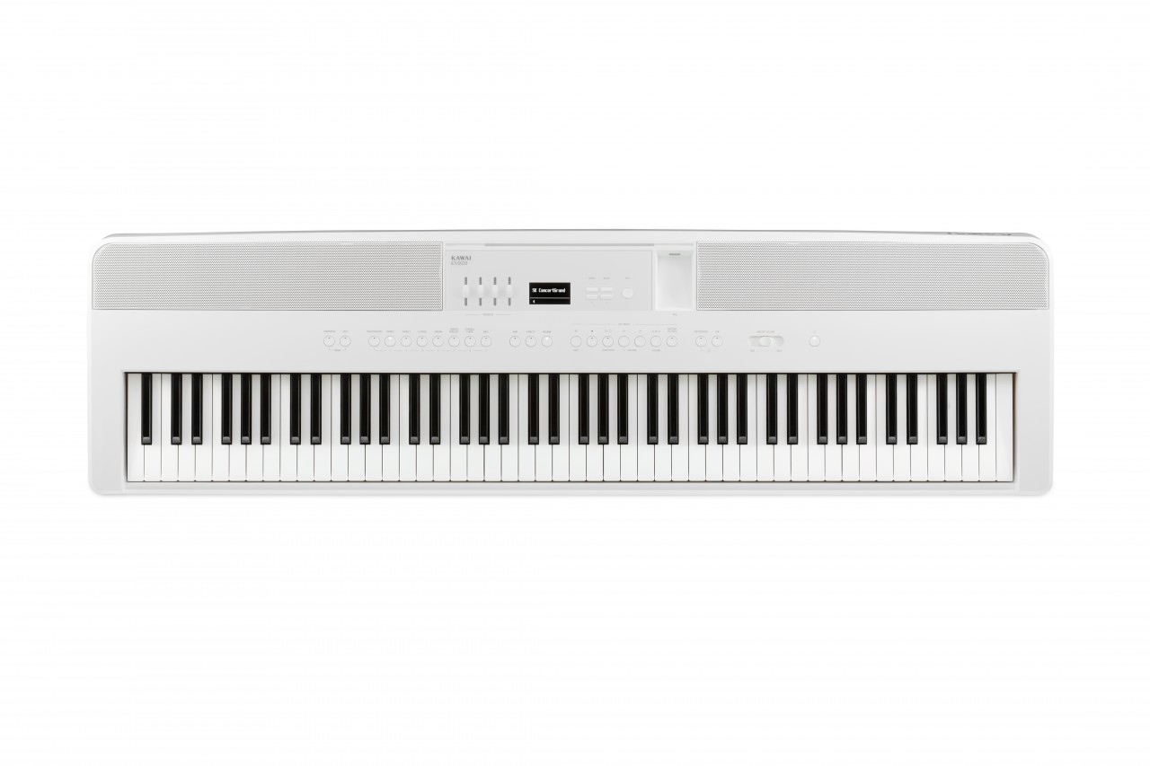 Portable Piano ES 920