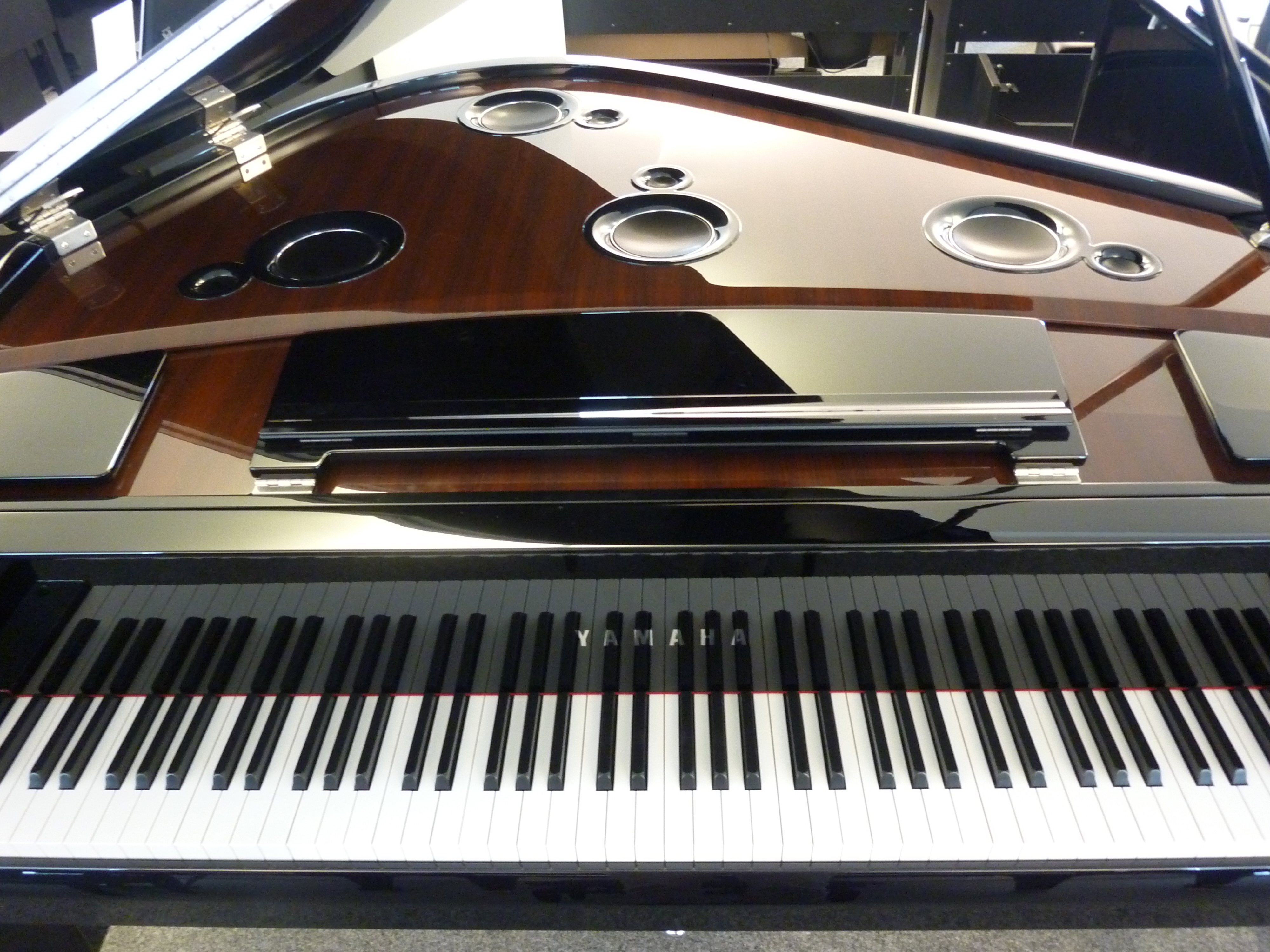 Hybrid Piano AvantGrand N3