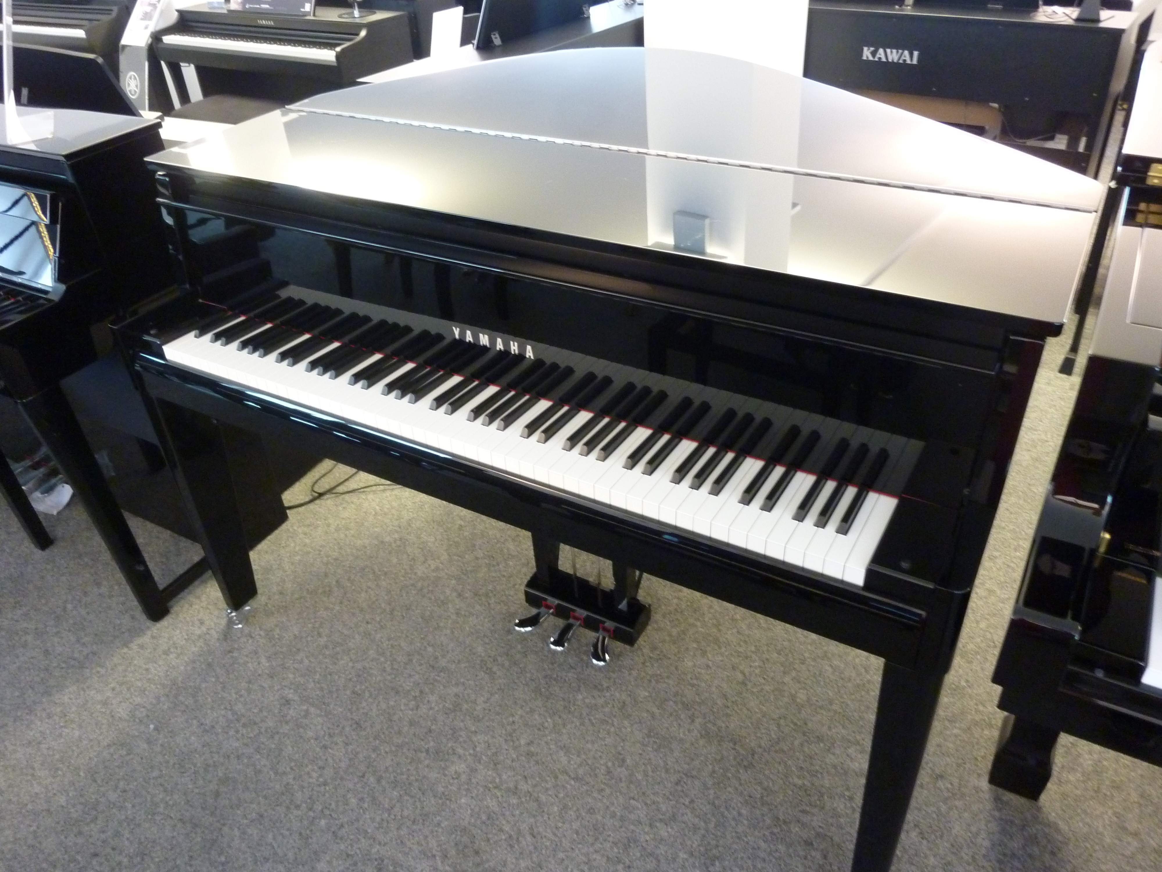 Hybrid Piano AvantGrand N3