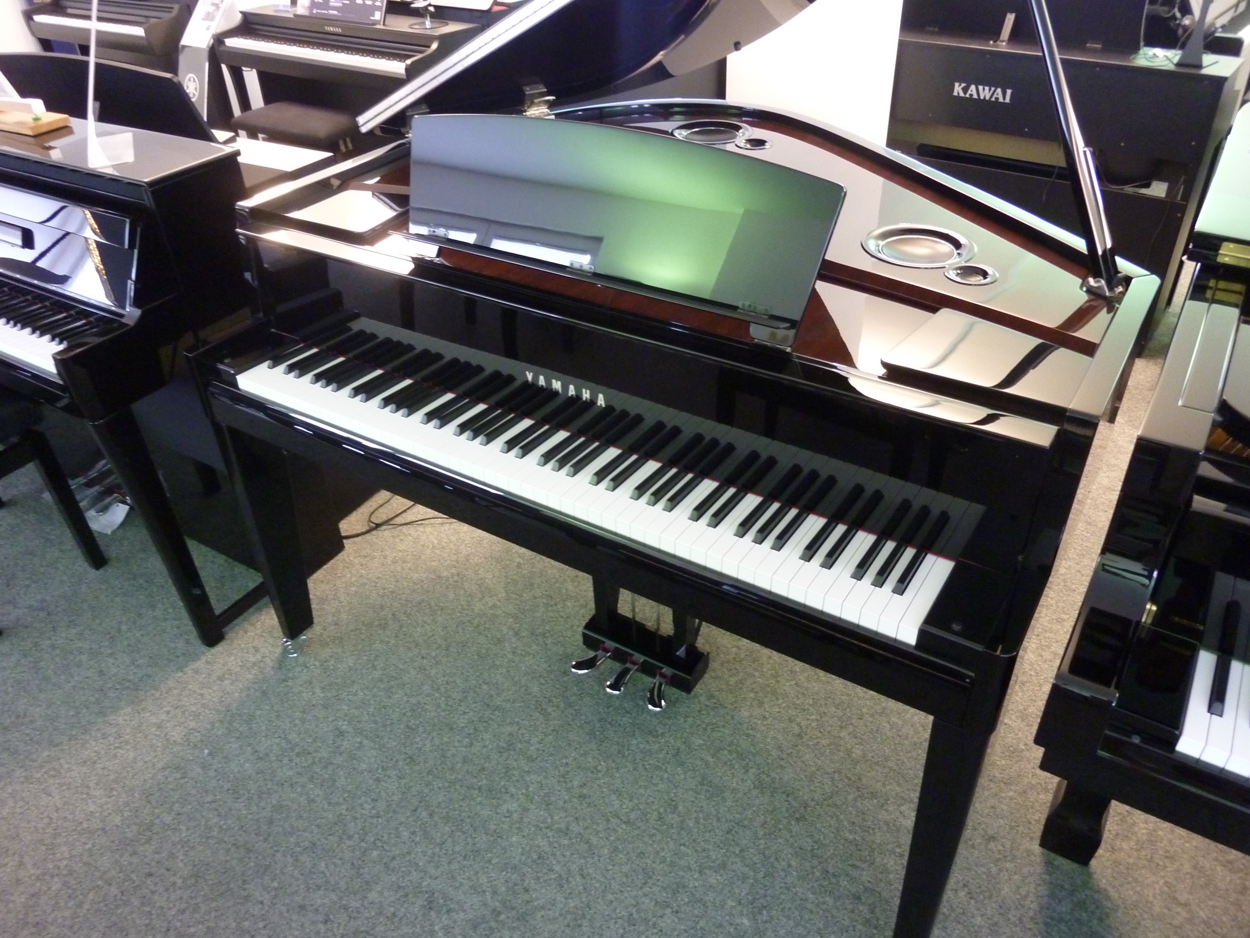Hybrid Piano AvantGrand N3